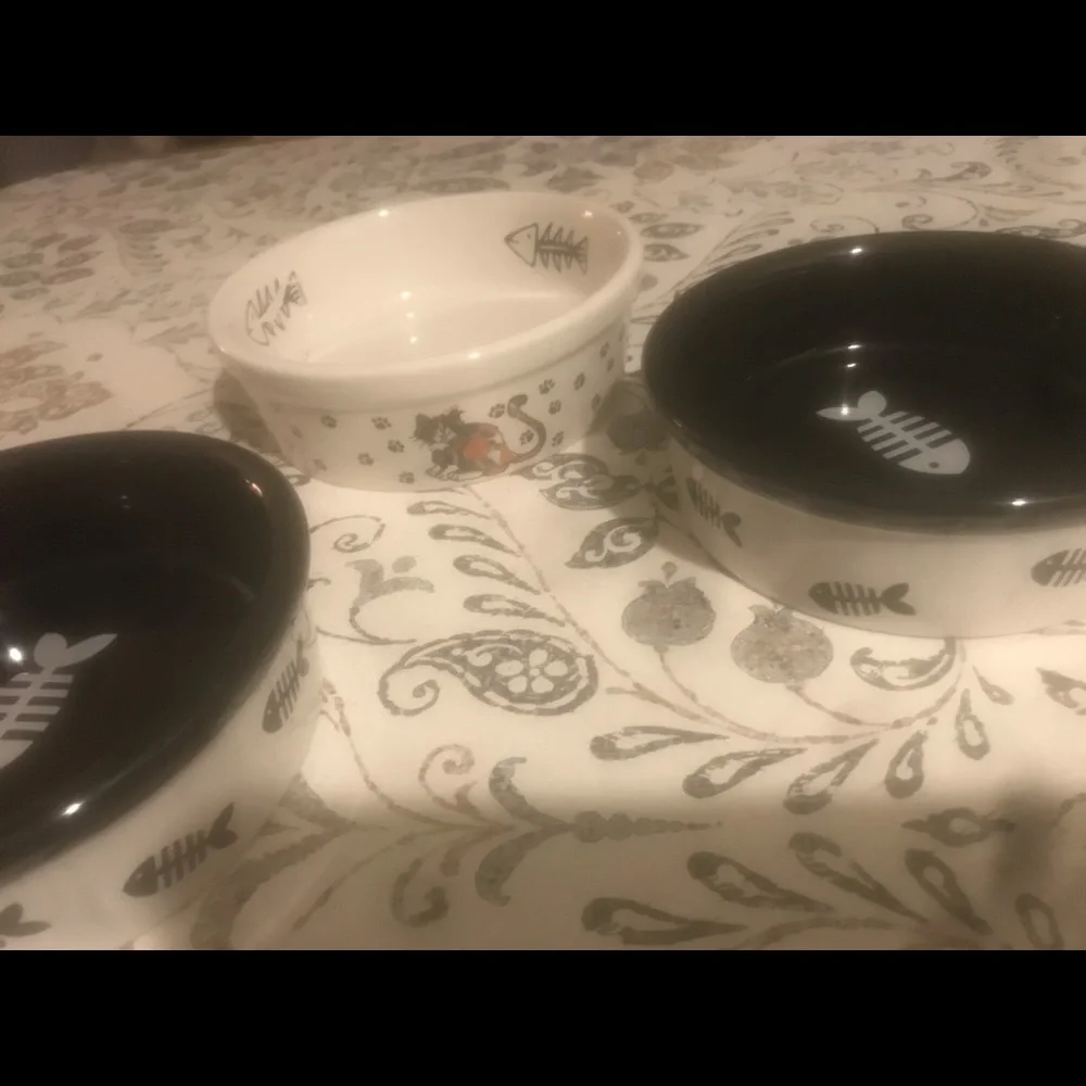 Cat bowls